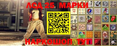 гашик Берёзовский