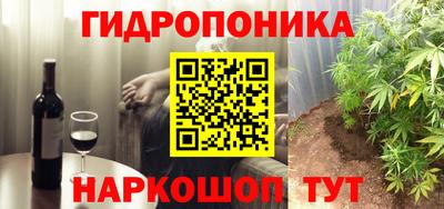 гашик Берёзовский