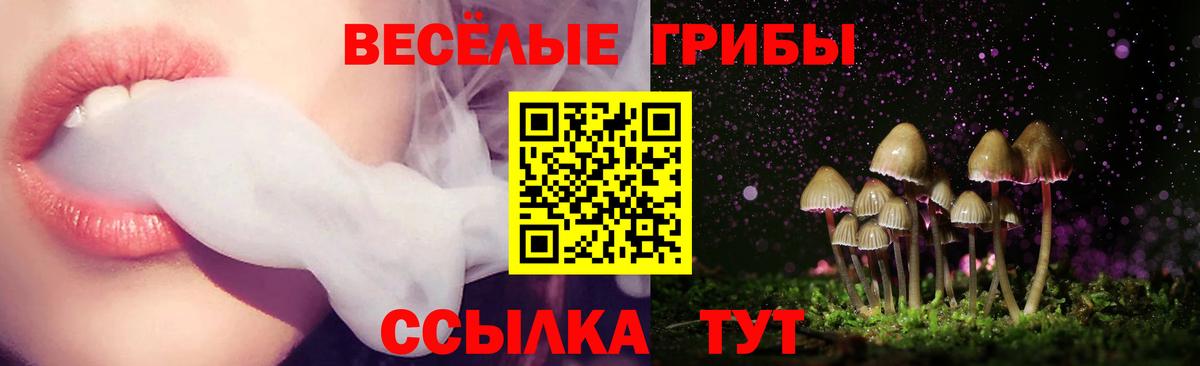 Галлюциногенные грибы GOLDEN TEACHER  Вход с VPN  Псилоцибиновые грибы ЛСД  Кимовск 